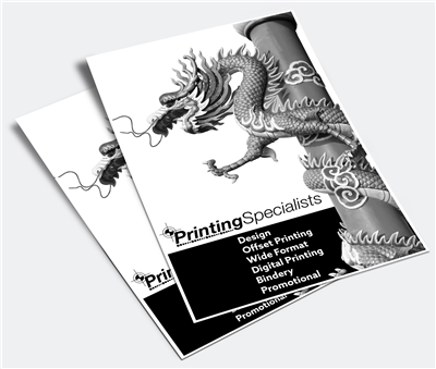 Black & White Flyers